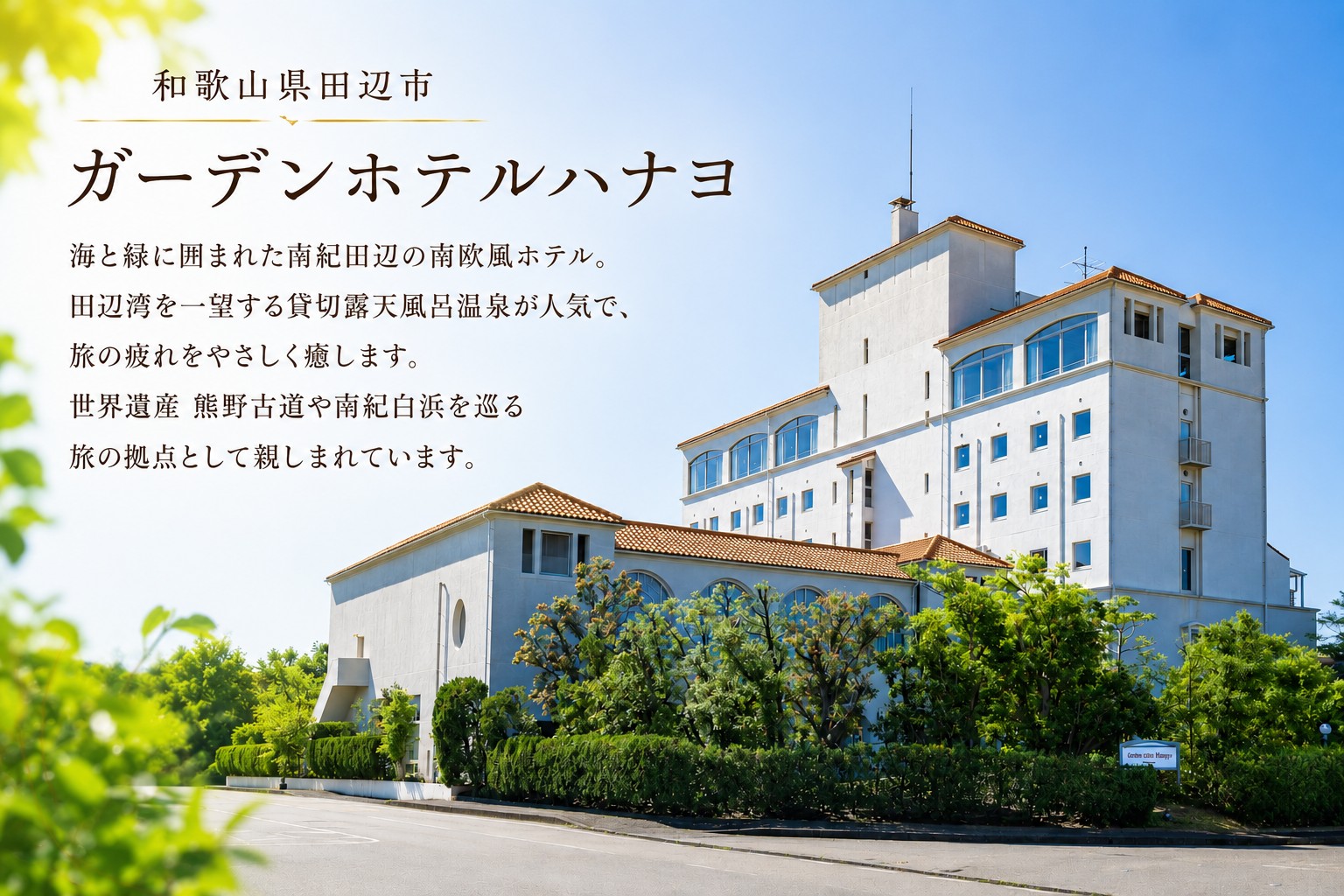 田辺温泉ハナヨの湯　温泉水 10L  ※飲用ではございません。【hny001】