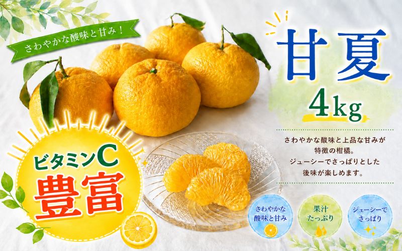 ＜先行予約＞甘夏【秀品】4kg ※2027年4月上旬～5月中旬頃に順次発送予定【期間限定・数量限定】 / 柑橘 季節限定 お取り寄せ 産地直送 贈答品 ギフト 果物 フルーツ 田辺市 和歌山県【ymh027】
