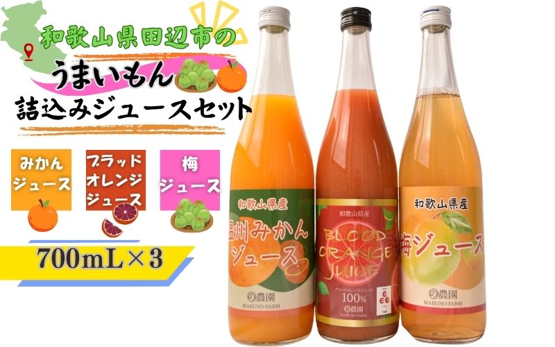 和歌山県田辺市のうまいもん詰込みジュースセット / 和歌山県 田辺市 みかんジュース700mL 梅ジュース700mL ブラッドオレンジジュース700ml 和歌山県産[mrn024]