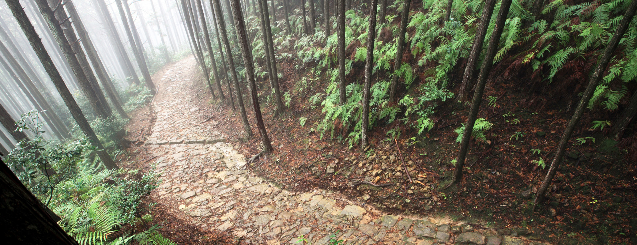 和歌山県田辺市