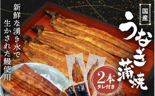 国産うなぎ蒲焼（２本）タレ付き /  うなぎ 鰻 ウナギ 和歌山 田辺市 国産 国産うなぎ 国産鰻 うなぎ 鰻 鰻丼 うな丼 土用の丑の日【ots016】