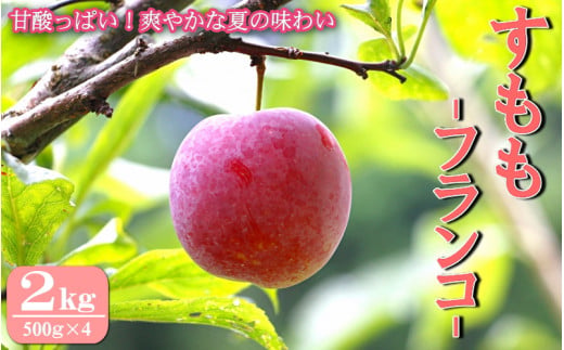 先行予約 すもも（フランコ）2kg  ※6月中旬～7月中旬頃に順次発送予定【期間限定・2027/6/20まで】 / スモモ お取り寄せ 期間限定 夏 フルーツ 果物 サンタローザ 和歌山県 田辺市【mtm003-1】