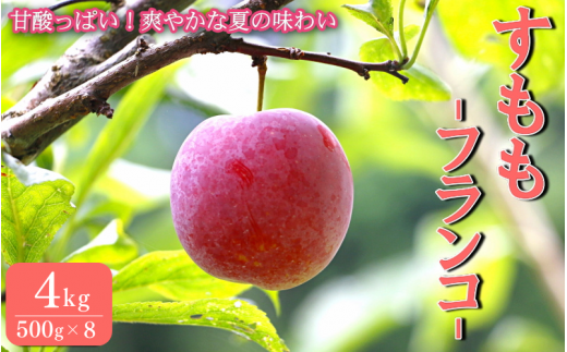 先行予約 すもも（フランコ）4kg ※6月中旬～7月中旬頃に順次発送予定【期間限定・2027/6/20まで】 / スモモ お取り寄せ 期間限定 夏 フルーツ 果物 サンタローザ 和歌山県 田辺市【mtm011】