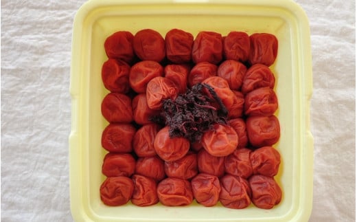 紀州南高梅 しそ梅(塩分13%) 2kg / 田辺市 紀州南高梅 南高梅 梅干し 梅干 梅 肉厚 お米 おにぎり 焼酎 梅酒 健康 【ske034-3】