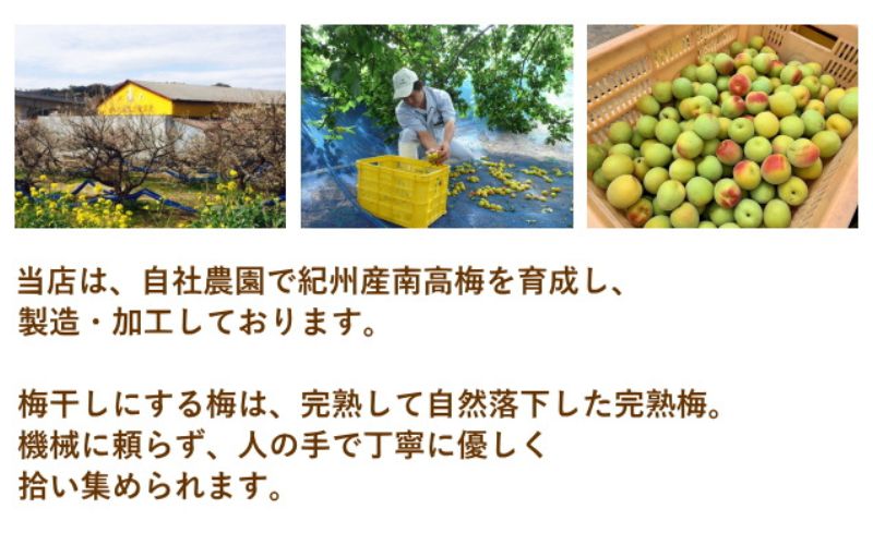 紀州南高梅 旨とろり梅 はちみつ入り 130g（65g×2）個包装 / 和歌山 和歌山県産 田辺市 南高梅 はちみつ梅干し 梅干し 個包装【nag008】