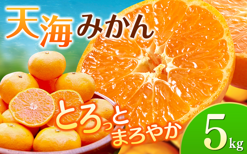 【先行予約】完熟早生みかん　宮川早生５kg※2026年12月から順次発送予定※ 【期間限定・12/20まで】/ 和歌山県 ミカン フルーツ 果物 柑橘 田辺市 【nak006-1】