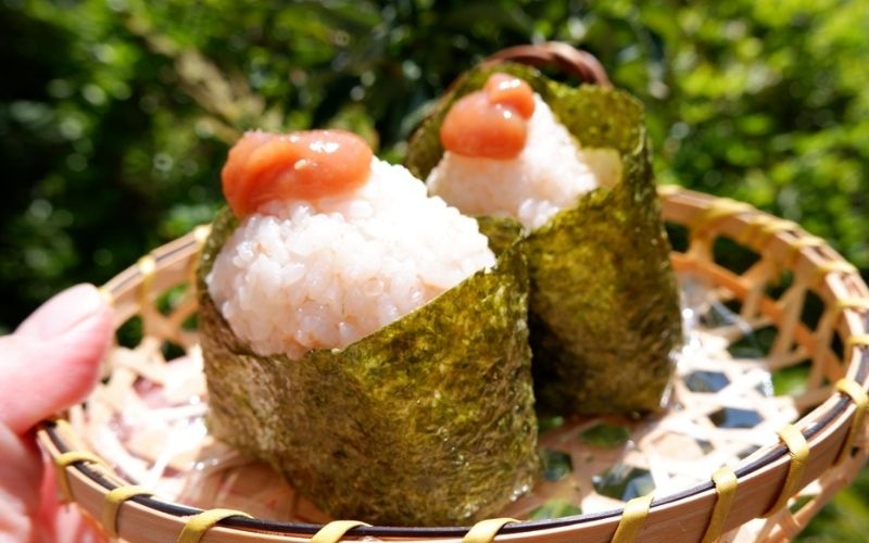 逋ス蟷イ縺励ュ繧頑「 180gテ3 蝪ゥ蛻20シ 豺サ蜉迚ゥ荳堺スソ逕ィ / 譴 縺繧 繧ヲ繝。 譴蟷イ縺 譴蟷イ 逋ス蟷イ縺 蜊鈴ォ俶「 邏蟾槫漉鬮俶「 蜥梧ュ悟アア逵 逕ー霎コ蟶 縲紳oi020縲
