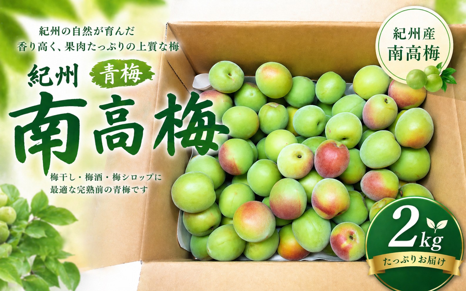 【期間限定・2026/6/10まで】 紀州南高梅 青梅 2kg※2026年6月中下旬から順次発送予定※ / 紀州南高梅 梅シロップ 梅ジュース 梅酒 和歌山県 【khn004】