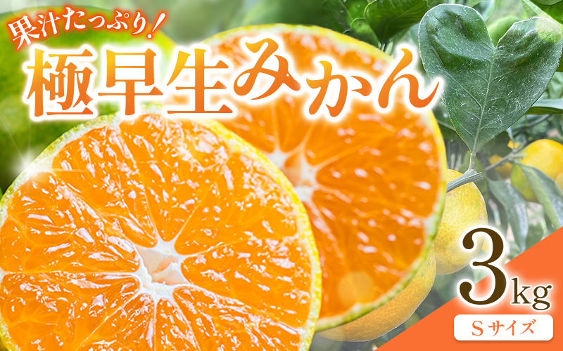 先行予約 紀州田辺産 果汁たっぷりの極早生みかん3kg（Ｓサイズ） ※9月中旬に順次発送予定【期間限定・8/31まで】 / 和歌山県 ミカン 期間限定 秋 柑橘  フルーツ 果物 紀州産【kjt015】