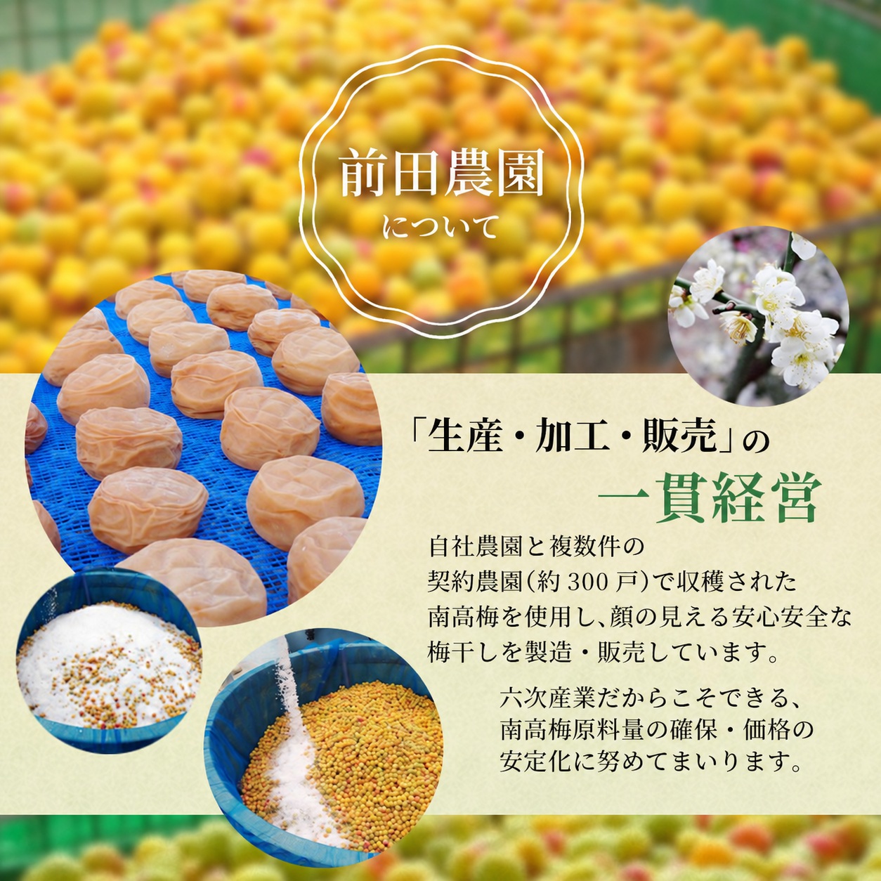縺願ゥヲ縺冷 邏蟾槫漉鬮俶「 縺ッ縺。縺ソ縺、譴(蝪ゥ蛻8シ) 200gテ1繝代ャ繧ッ / 縺頑ュウ證ョ 譴蟷イ縺 譴蟷イ 縺繧√⊂縺 蜊鈴ォ俶「 縺ッ縺。縺ソ縺、譴 縺ッ縺。縺ソ縺、譴蟷イ 縺ッ縺。縺ソ縺、譴蟷イ縺 陷り惧 蝗ス逕」 譴 縺繧 繧ヲ繝。 邏蟾槭∩縺九s縺ッ縺。縺ソ縺、 螳檎 蛛・蠎キ 縺秘」ッ縺ョ縺贋セ 雍医j迚ゥ 縺雁叙繧雁ッ縺 縺願幻貍ャ縺 蜥梧ュ悟アア逵 逕ー霎コ蟶 蜑咲伐霎イ蝨 縲仁ae006縲