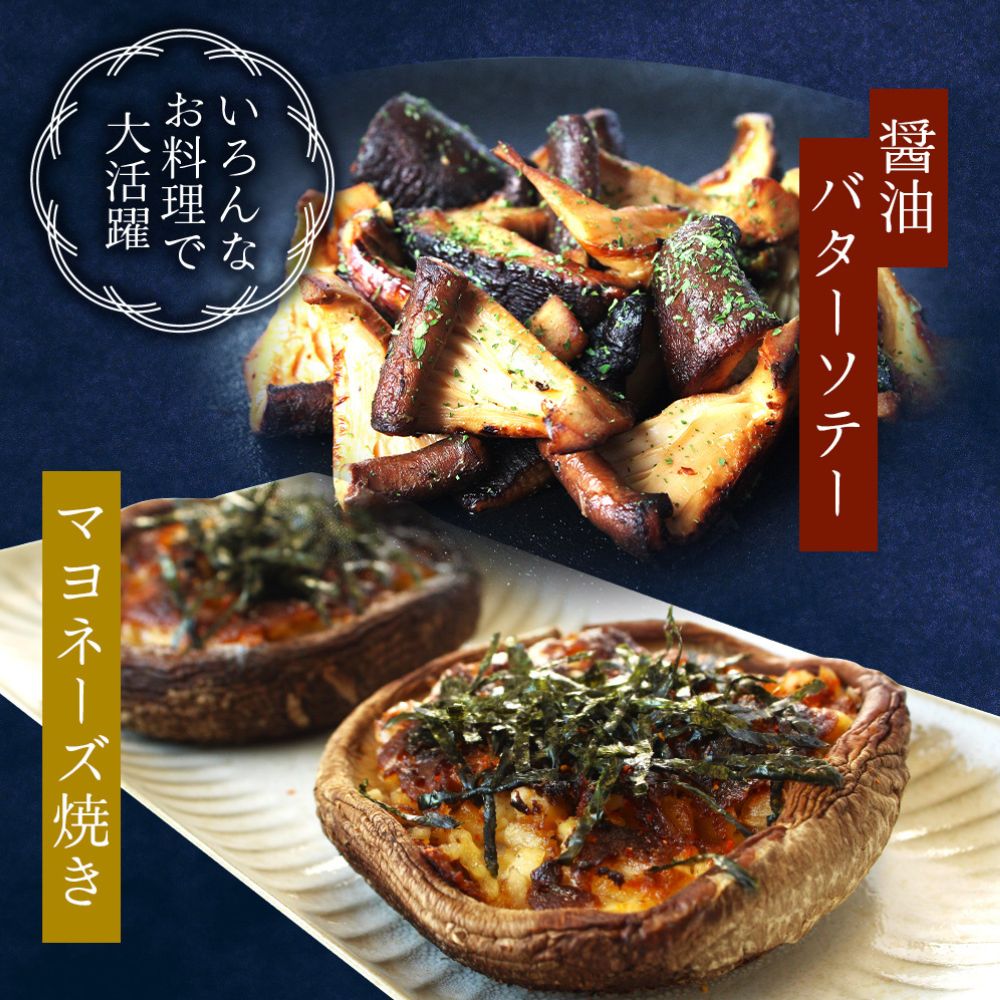 龍神マッシュの生しいたけ５袋セット / 肉厚 無農薬 菌床栽培 きのこ シイタケ 椎茸  和歌山県 田辺市【mas002】