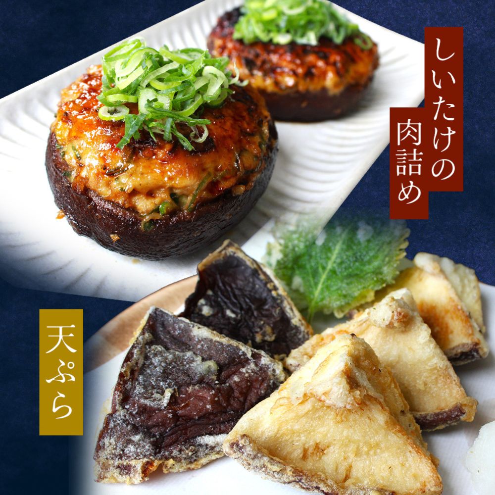 龍神マッシュの生しいたけ５袋セット / 肉厚 無農薬 菌床栽培 きのこ シイタケ 椎茸  和歌山県 田辺市【mas002】