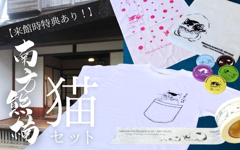 来館特典あり！ 南方熊楠 猫セット / 和歌山 田辺市 偉人 南方 熊楠 歴史 グッズ オリジナルグッズ  ※寄付時にご希望のサイズを備考欄にご記入ください※【mkk002】