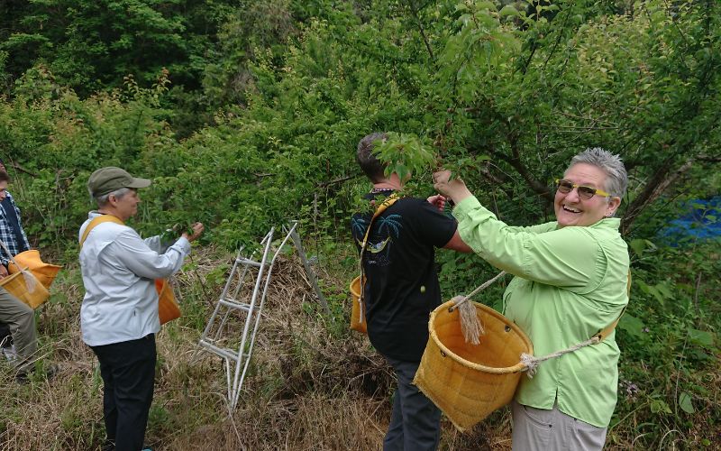 和歌山県の農家民泊 みかん狩り体験 1名様分  和歌山県田辺市 /  農家 民泊 旅行 宿泊  食事付き 旬食材 癒し 自然 田舎 体験 宿 和歌山 田辺市【mri002】