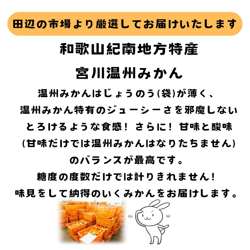 紀南の温暖な気候で育った田辺の温州みかん 5kg※11月下旬～12月下旬頃に順次発送予定【期間限定・先行予約・12/10まで】 / 和歌山県 温州みかん 柑橘 フルーツ 田辺市【mry016-1】