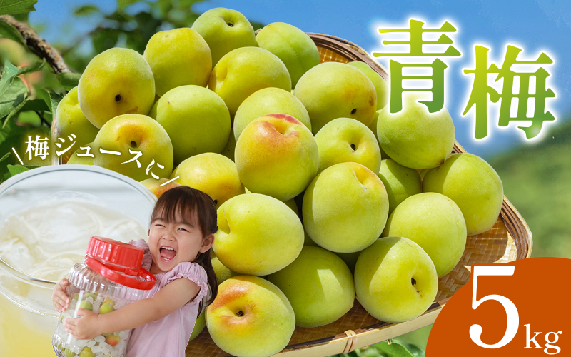 【期間限定・2026/4/30まで】中山農園の南高梅　青梅5kg※2026年5月下旬から順次発送予定※ / 紀州南高梅 梅シロップ 梅ジュース 梅酒 和歌山県 【nak018-1】