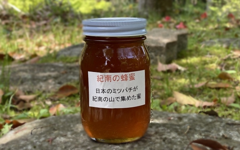 純粋日本蜂蜜（紀南の蜂蜜）　600g  / 田辺市 はちみつ ハチミツ 蜂蜜  無添加 国産 山蜜【nts008】