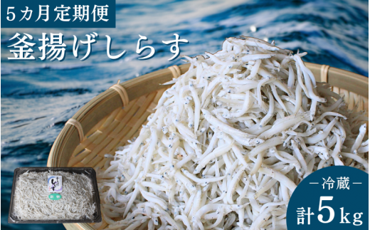 【5カ月定期便】釜揚げしらす（ご家庭用）計5kg（1kg×5回）※北海道・沖縄・離島配送不可 / しらす丼 丼ぶり シラス 家庭用 冷蔵 お取り寄せ 和歌山県 田辺市【has012-tk】