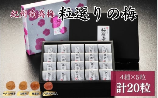 紀州産南高梅 粒選りの梅  計20個  佳郷梅（塩分約10％）・ハチミツ梅干（塩分8%）・しそ漬紀州美人（塩分約12％）・梅選漬（塩分約8％） / 和歌山 田辺 紀州南高梅 南高梅 梅干し 梅干 梅 うす塩 減塩 肉厚 りんご酢 はちみつ入り お米 おにぎり ご飯のお供【kmr014】