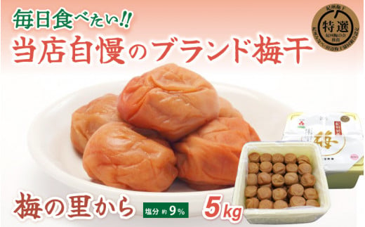 梅の里から5kg （塩分９％） / 田辺市 紀州南高梅 南高梅 梅干し 梅干 梅 ご飯のお供【ing027-1】