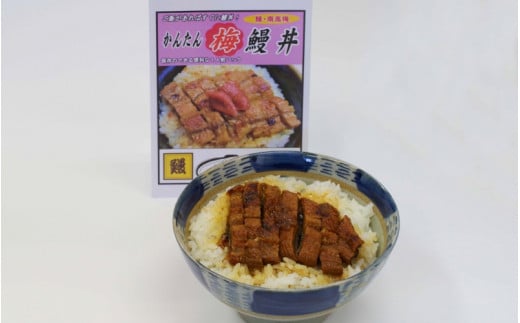 かんたん鰻丼 （梅味）1人前×５食セット　＜湯煎するだけで簡単に鰻丼ができます＞ / 和歌山 田辺市 国産 国産鰻 鰻 うなぎ 鰻丼 うな丼 梅 梅味 簡単 お手軽 かんたん 土用の丑の日 冷凍【ots010】