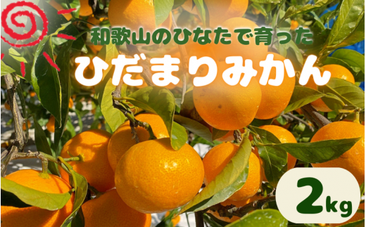 <先行予約＞日向屋 ひだまりみかん　2kg ※2024年12月頃に順次発送予定【期間限定・先行予約・2024/11/30まで】 / 田辺市 みかん 期間限定 先行予約 ミカン 和歌山 紀州【hnt014】