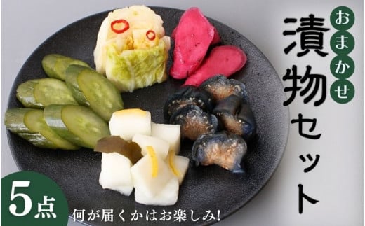 おまかせ５点セット / 漬物 冷蔵 ごはんのおとも 大根 きゅうり 白菜 古漬 梅漬け キムチ 浅漬け ぬか漬け 和歌山 田辺市【ksn002】