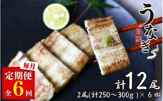 【6カ月定期便】うなぎ白焼き2本セット×6回 / 和歌山 田辺 うなぎ 鰻 白焼き うな丼 うな重  国産 鰻丼【kpy019-tk】