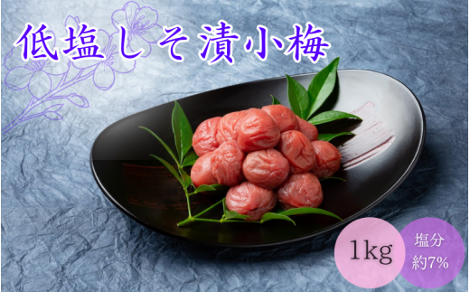 低塩しそ漬小梅（塩分約7％）1kg  / 田辺市 梅干し 梅干 梅 うめ 肉厚 お米 おにぎり 焼酎 梅酒 健康  小梅 一口サイズ しそ漬 しそ梅 【mtz011】