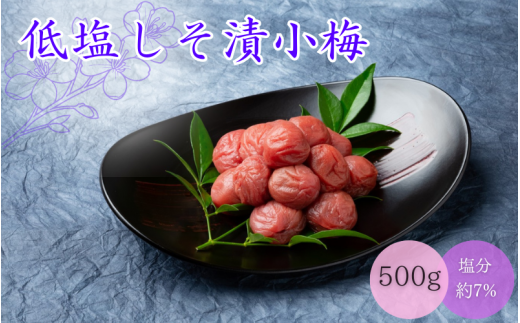 低塩しそ漬小梅（塩分約7％）500g  / 田辺市  梅干し 梅干 梅 うめ 肉厚 お米 おにぎり 焼酎 梅酒 健康  小梅 一口サイズ しそ漬 しそ梅 【mtz022】