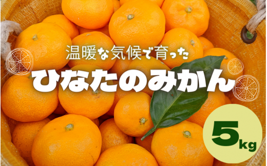 ＜先行予約＞ひなたのみかん　5kg ※2024年12月頃に順次発送予定【期間限定・先行予約・2024/11/30まで】 / 田辺市 みかん 期間限定 先行予約 ミカン 和歌山 紀州【okm005】