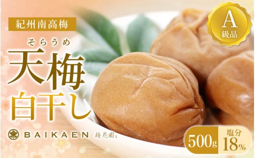 紀州南高梅 天梅(そらうめ)白干し 500g 塩分約18％ A級品 大粒5Lサイズ /  梅干し 梅干 うめぼし 南高梅 国産 梅 うめ ウメ 白梅 白干し梅 健康 ご飯のお供 和歌山県 田辺市【bik006】