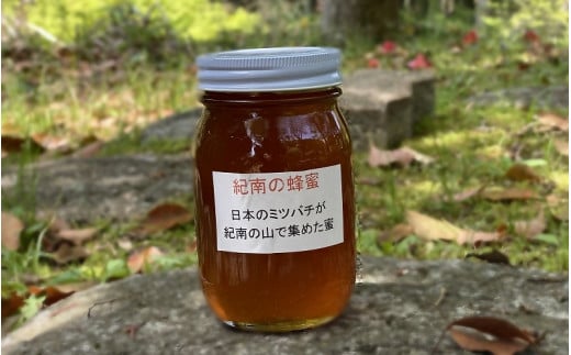 純粋日本蜂蜜（紀南の蜂蜜）　600g  / 田辺市 はちみつ ハチミツ 蜂蜜  無添加 国産 山蜜【nts008】