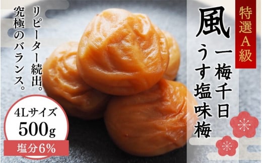 一梅千日うす塩味梅（塩分6％） 「風」 A級4Lサイズ500g / 和歌山県 田辺市 紀州南高梅 南高梅 梅干し 梅干 梅 うめ A級品 4L 肉厚 お米 おにぎり 焼酎 梅酒 健康 うす塩味 塩分6％ ご飯のお供【umm019】