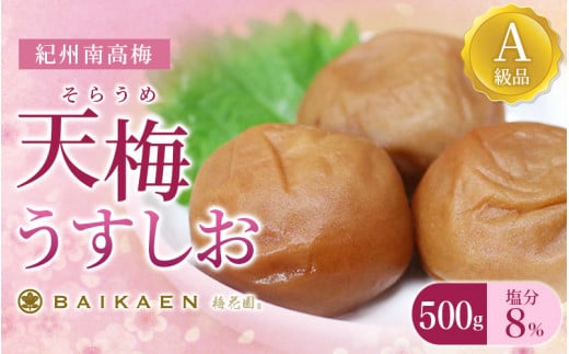 紀州南高梅 天梅(そらうめ)うすしお 500g 塩分約8％ A級品 大粒5Lサイズ /  梅干し 梅干 うめぼし 南高梅 国産 梅 うめ ウメ 健康 ご飯のお供 和歌山県 田辺市【bik004】