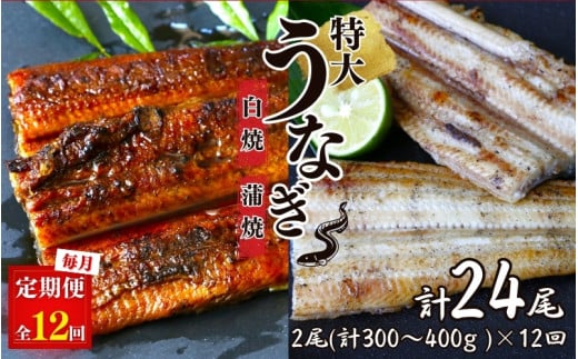 【12カ月定期便】特大うなぎ蒲焼き、うなぎ白焼き　各1本セット ×12回/ 和歌山 田辺 うなぎ 鰻 白焼き うな丼 うな重  国産 鰻丼 かば焼き【kpy032-tk】