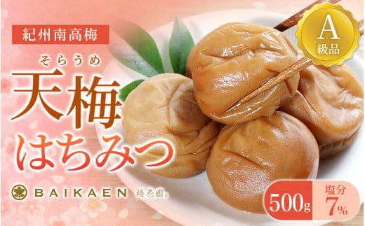 紀州南高梅 天梅(そらうめ)はちみつ 500g 塩分約7％ A級品 大粒5Lサイズ /  梅干し 梅干 うめぼし 南高梅 はちみつ梅 はちみつ梅干し 国産 梅 うめ ウメ 健康 ご飯のお供 和歌山県 田辺市【bik002】