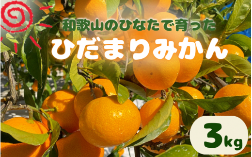 <先行予約＞日向屋 ひだまりみかん　3kg ※2024年12月頃に順次発送予定【期間限定・先行予約・2024/11/30まで】 / 田辺市 みかん 期間限定 先行予約 ミカン 和歌山 紀州【hnt015】