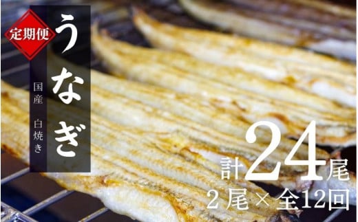 【12カ月定期便】国産うなぎ白焼（2本）×12回 特製醤油・わさび付 /  定期便 毎月お届け 和歌山 田辺市 国産 国産うなぎ 国産鰻 うなぎ 鰻 鰻丼 うな丼 土用の丑の日【ots029-tk】