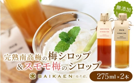 「完熟南高梅の無添加梅シロップ」＆「スモモ梅の無添加シロップ」のセット 各275ml / 紀州南高梅 梅干し 梅干 うめぼし 南高梅 国産 梅 うめ ウメ すもも スモモ 健康 シロップ 果汁 梅果汁 梅ジュース 和歌山県 田辺市【bik011】