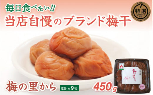 梅の里から450g （塩分９％） / 田辺市 紀州南高梅 南高梅 梅干し 梅干 梅 ご飯のお供【ing015-1】