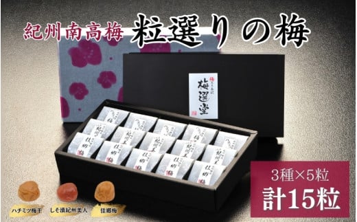 紀州産南高梅 粒選りの梅  計15個  佳郷梅（塩分約10％）・ハチミツ梅干（塩分8%）・しそ漬紀州美人（塩分約12％） / 和歌山 田辺 紀州南高梅 南高梅 梅干し 梅干 梅 うす塩 減塩 肉厚 りんご酢 はちみつ入り お米 おにぎり ご飯のお供【kmr013】