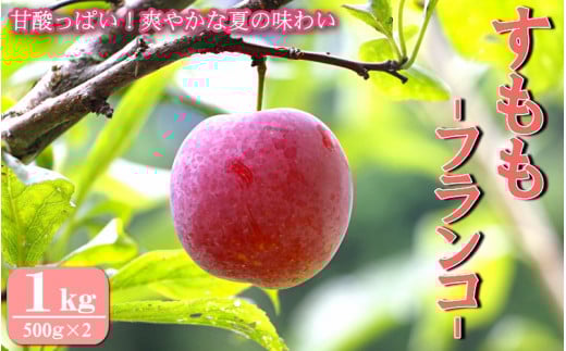 先行予約 すもも（フランコ）1kg ※6月中旬～7月中旬頃に順次発送予定【期間限定・2026/6/20まで】 / スモモ お取り寄せ 期間限定 夏 フルーツ 果物 サンタローザ 和歌山県 田辺市【mtm008-1】