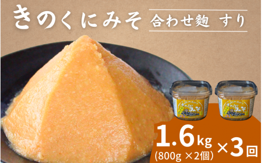 【3カ月定期便】きのくにみそ（合わせ麹）すり 計4.8kg（1.6kg×3回） / 味噌 ミソ 生みそ 調味料 こし味噌 みそ汁 和歌山県 田辺市【kyj024-tk】