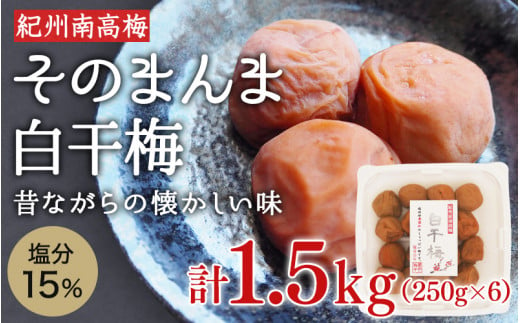 そのまんま白干梅 A級品 計1.5kg（250g×6個） / 梅干し 梅干 梅 和歌山 和歌山県産 田辺市 紀州南高梅 南高梅 白干し梅 無添加 しょっぱい梅干し 昔ながらの梅干し なつかしい A級【kfo007】