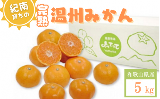 【先行予約】紀南育ちの完熟温州みかん  5?※11月下旬～12月頃に順次発送予定【期間限定:2024/11/15まで】/ 田辺市 よってって みかん 温州みかん 完熟温州みかん【prs005】