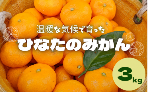 <先行予約>ひなたのみかん　3kg ※2024年12月頃に順次発送予定【期間限定・先行予約・2024/11/30まで】 / 田辺市 みかん 期間限定 先行予約 ミカン 和歌山 紀州【okm002】