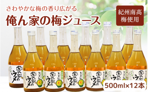 俺ん家の梅ジュース500ml×12本セット / 和歌山 和歌山県産 田辺市 紀州南高梅 南高梅 梅 梅ジュース なつかしい【ktr017】