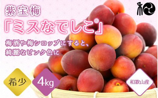 【2025年分先行予約】紫宝梅『ミスなでしこ®』【青梅：4kg】※2025年6月上中旬頃に順次発送予定【期間限定・先行予約・5/31まで】  / 田辺市 青梅 梅 紫宝梅 大梅 大玉 梅シロップ 梅酒【ngm004-1】