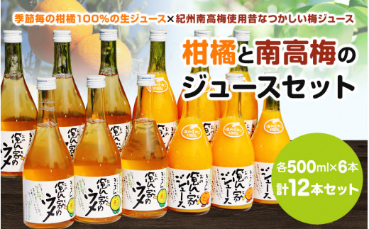 紀州産ミカンジュースと南高梅のジュースセット 季節毎の柑橘ジュース500ml×６本・梅ジュース500ml×６本 / 和歌山 和歌山県産 田辺市 紀州南高梅 梅  梅ジュース みかん みかんジュース 100％ジュース ジュースセット【ktr006-2】